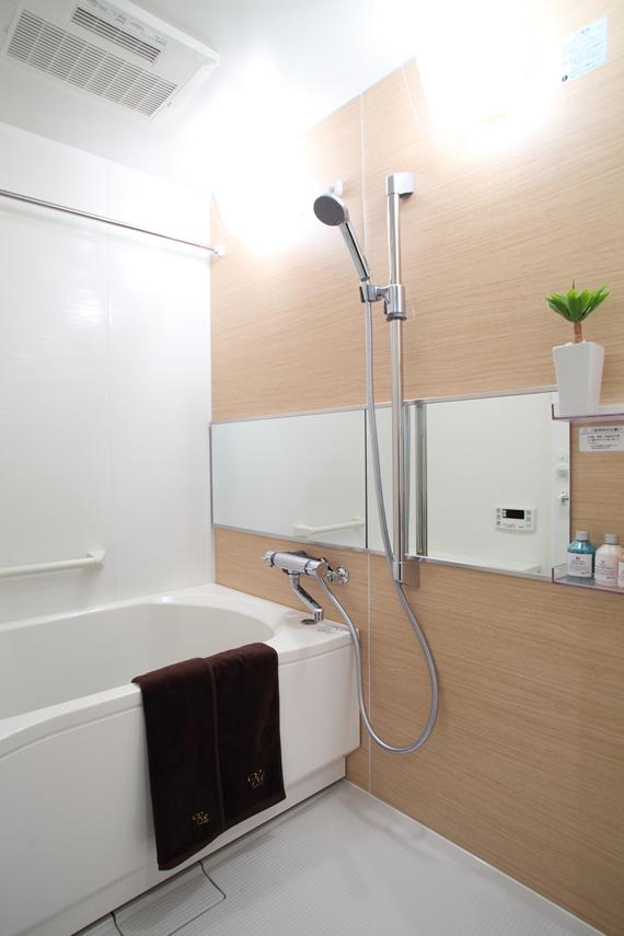 Bathroom. Renovation construction cases
