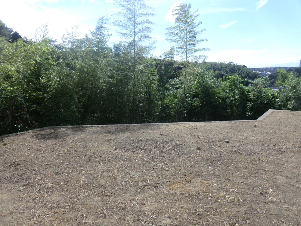 Local land photo. Local (August 2012) shooting