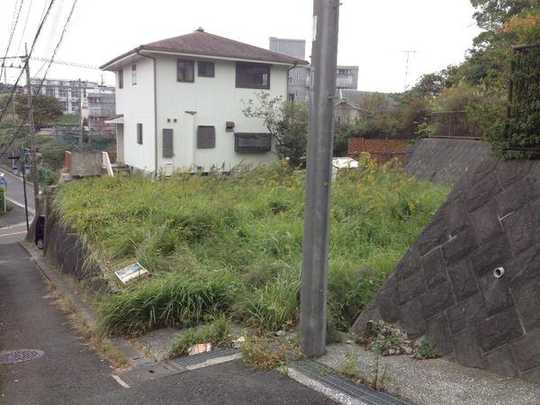 Local appearance photo. Local Photos