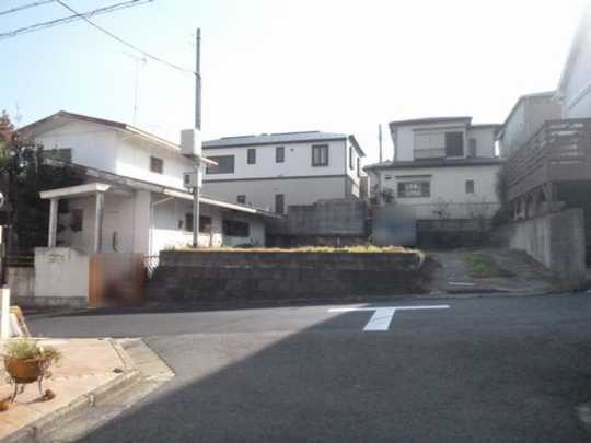 Local land photo. Appearance 1