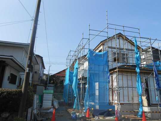 Other. Local appearance