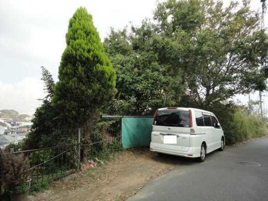 Local land photo.  ■ local