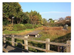 park. 918m to Kogarah park