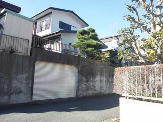 Local land photo. Appearance (1)