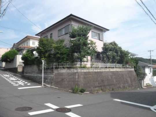 Local land photo. Appearance (1)