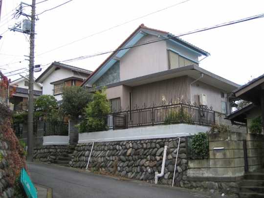 Local land photo. Appearance 1