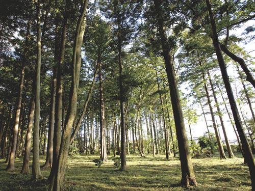 park. Seya forest of citizens: 7 minutes walk 550m (165 districts)