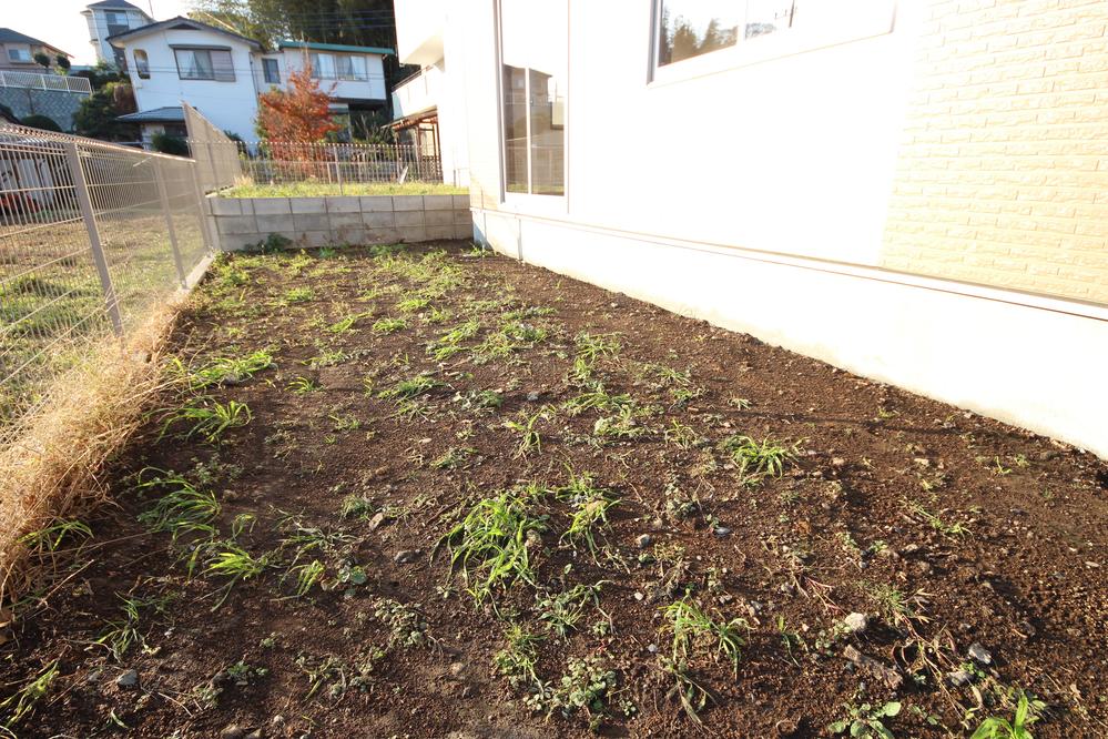 Garden. 6 Building garden