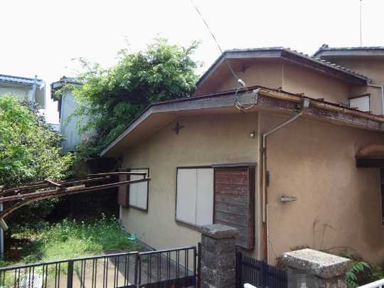 Local land photo. appearance