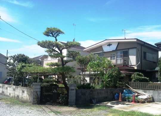 Local land photo. Appearance (1)