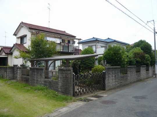 Local land photo. appearance