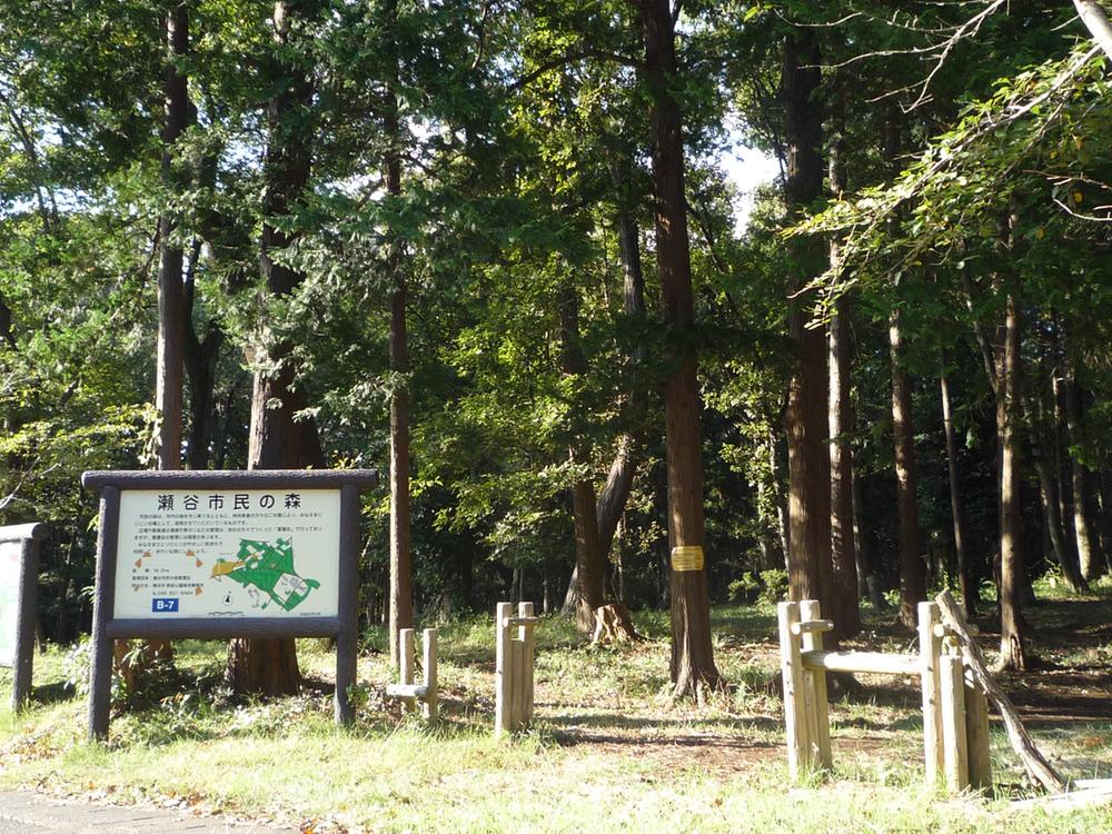 park. Forest Seya citizen