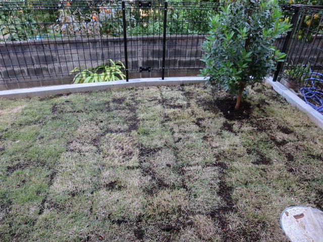 Garden. Local (11 May 2013) Shooting