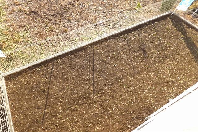 Garden. A south-facing with spacious garden 5 Building (2013 December 10, 2008) shooting