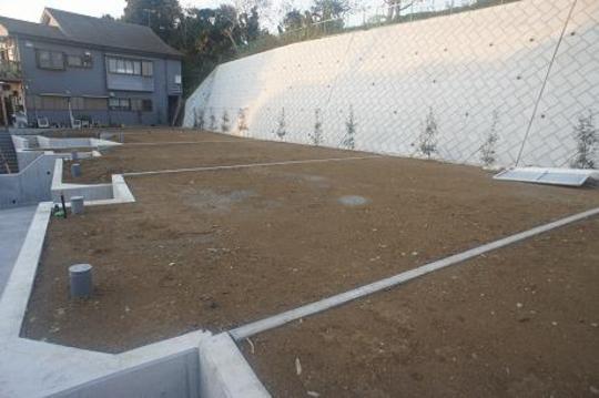 Local land photo. Local Photos