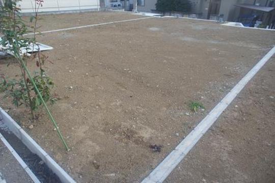 Local land photo. Local Photos