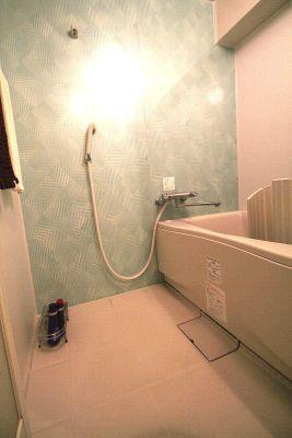 Bathroom. Indoor (12 May 2013) Shooting