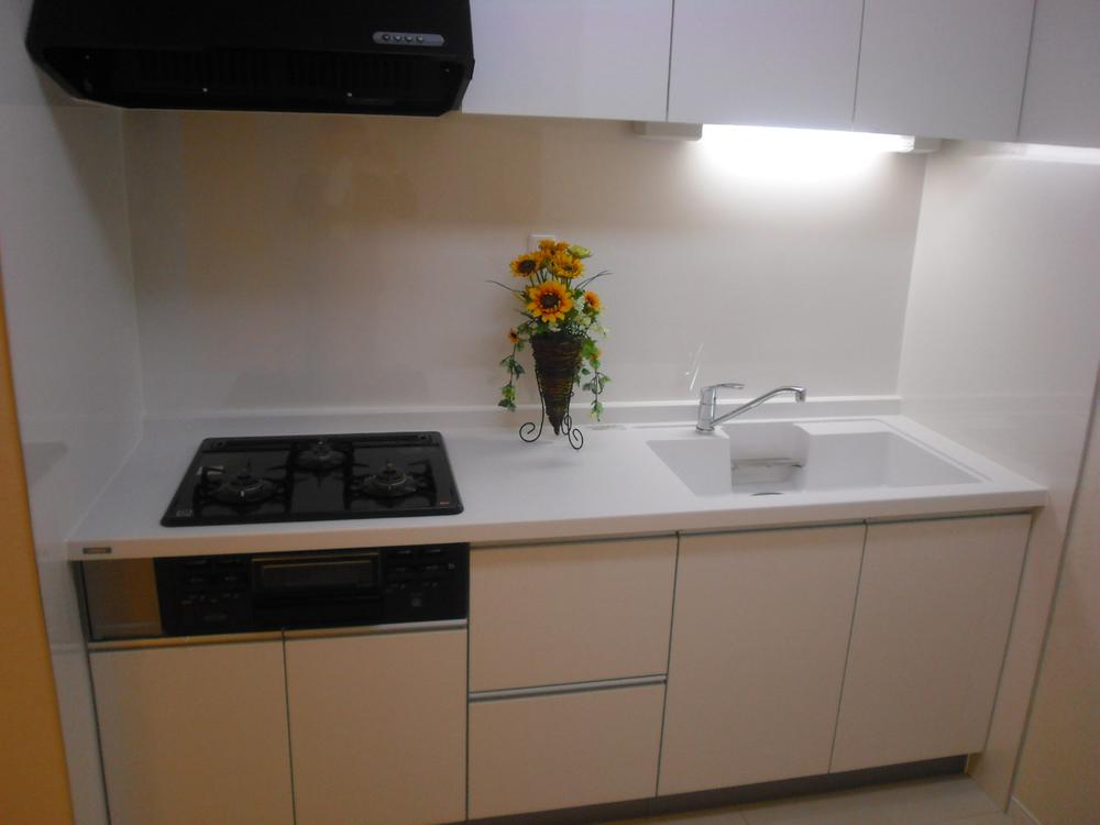 Kitchen. Indoor (11 May 2013) Shooting