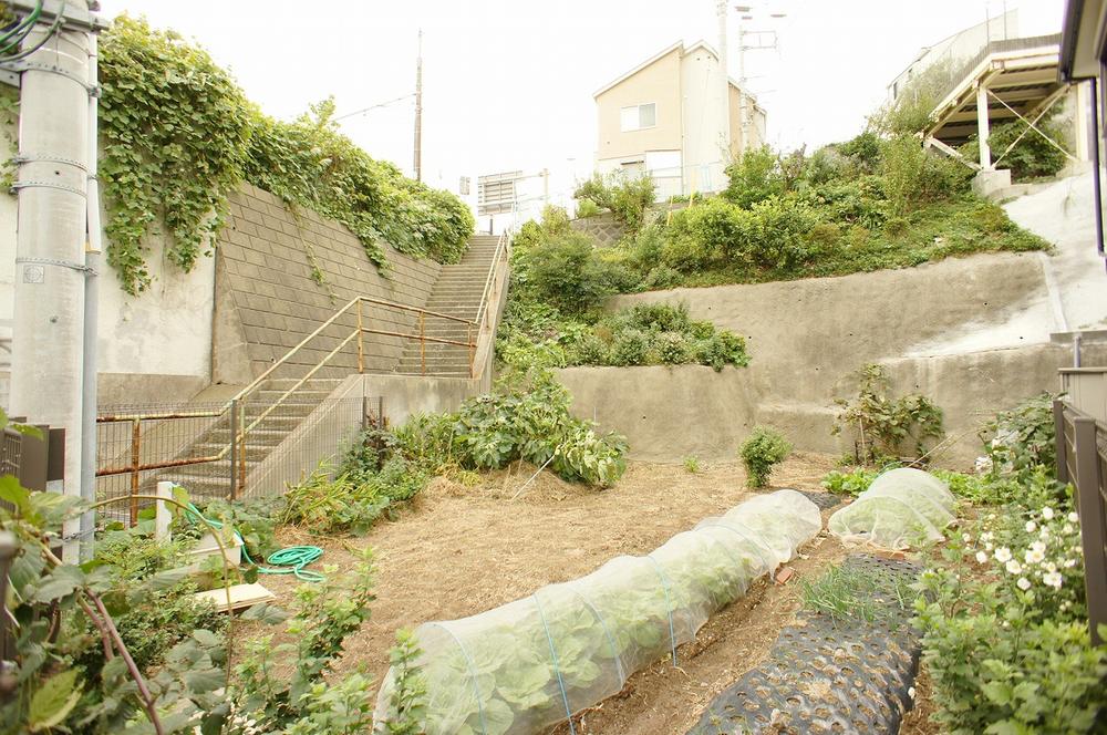 Local land photo. Local (10 May 2013) Shooting, The south side does not have for tightness of passage.