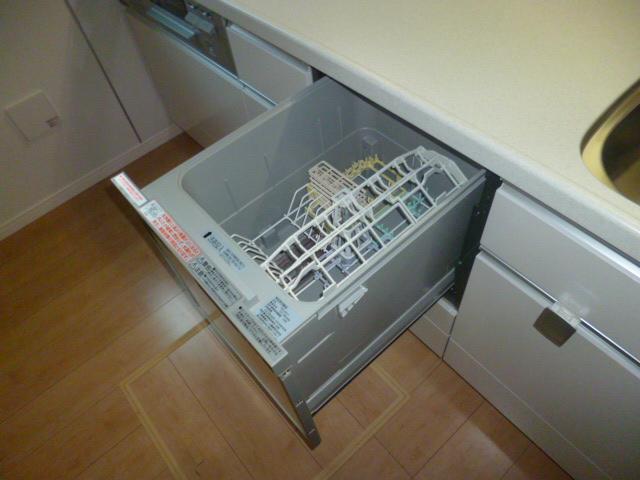 Kitchen. Dishwasher system Kitchen (October 2013) Shooting