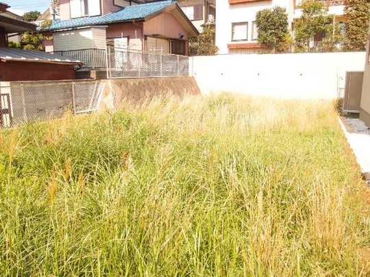 Local land photo. Local Photos