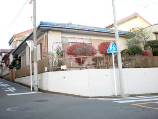 Local land photo. appearance