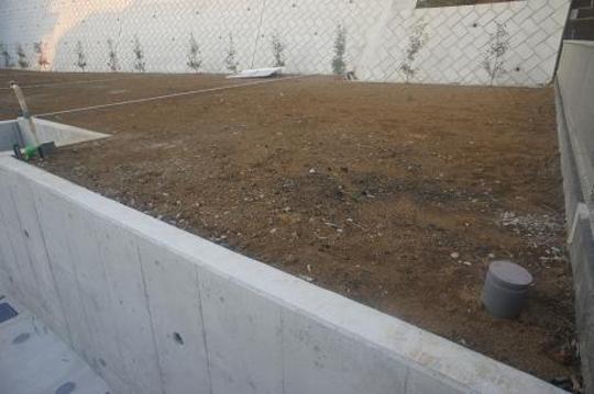 Local land photo. Local Photos