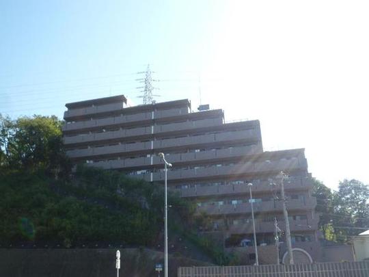 Local appearance photo. Mansion is the appearance