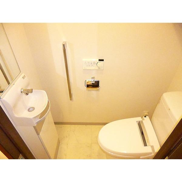 Toilet. Mirror toilet