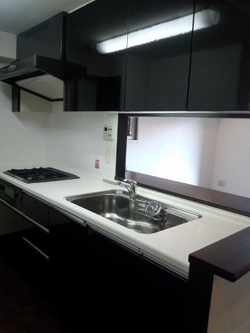 Kitchen. Face-to-face counter kitchen