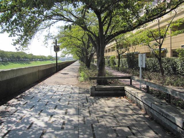 Other. Promenade