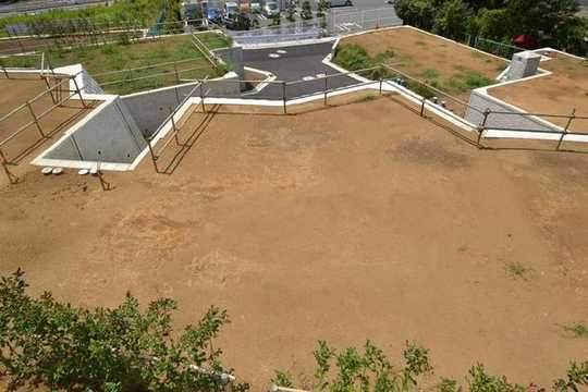 Local land photo. NO5 is compartment