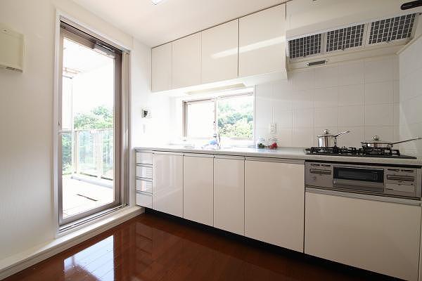 Kitchen. Indoor shooting