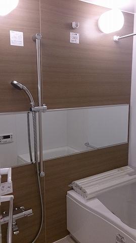 Bathroom. New interior renovated