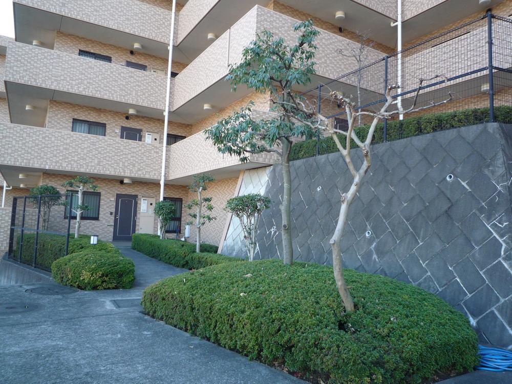 Other common areas. Green planting will have planted a large number on the premises (2013 December shooting)
