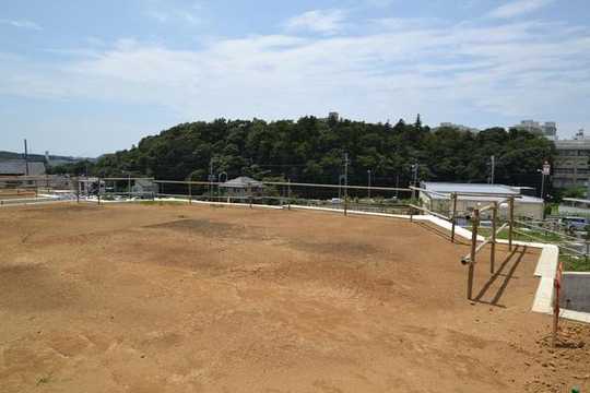 Local land photo. Local is