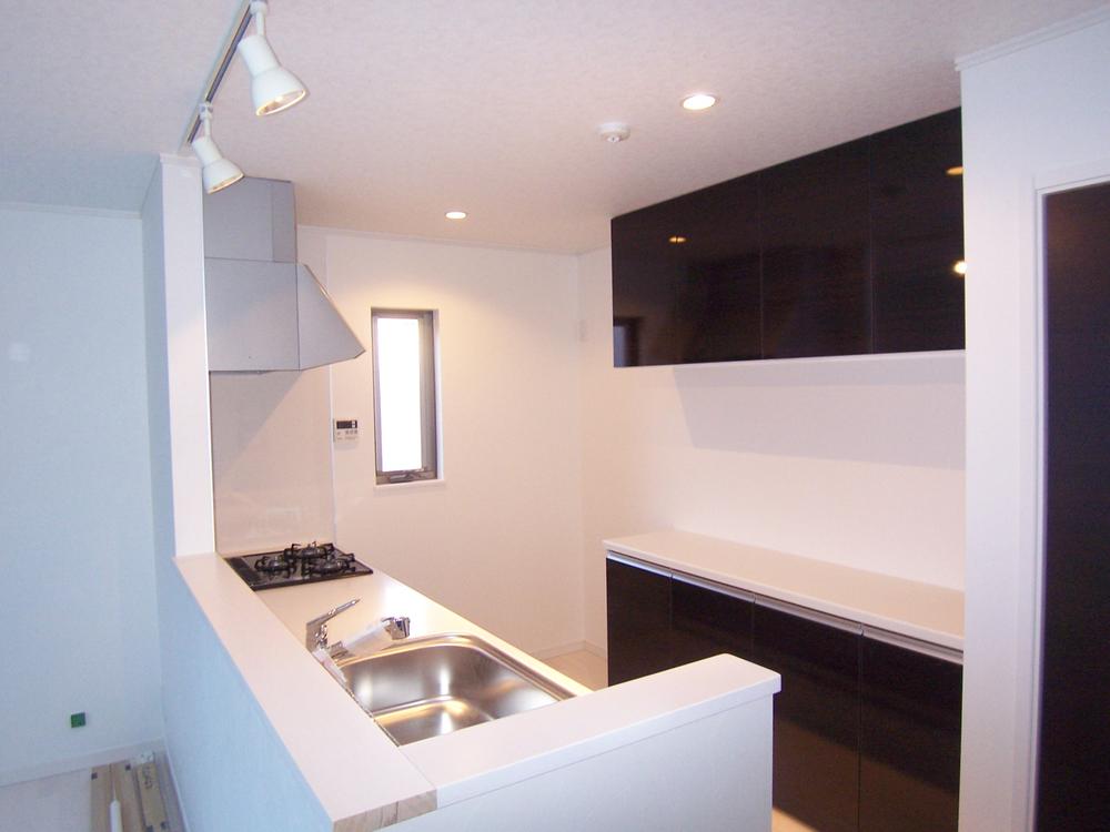 Kitchen. Popular face-to-face kitchen lighting is removable spotlight