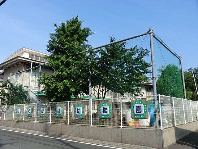 kindergarten ・ Nursery. Birch 370m to kindergarten