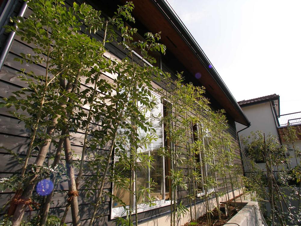 Local appearance photo. ~ Planting has entered ~ Such as autumn leaves and bamboo, It is a good atmosphere.