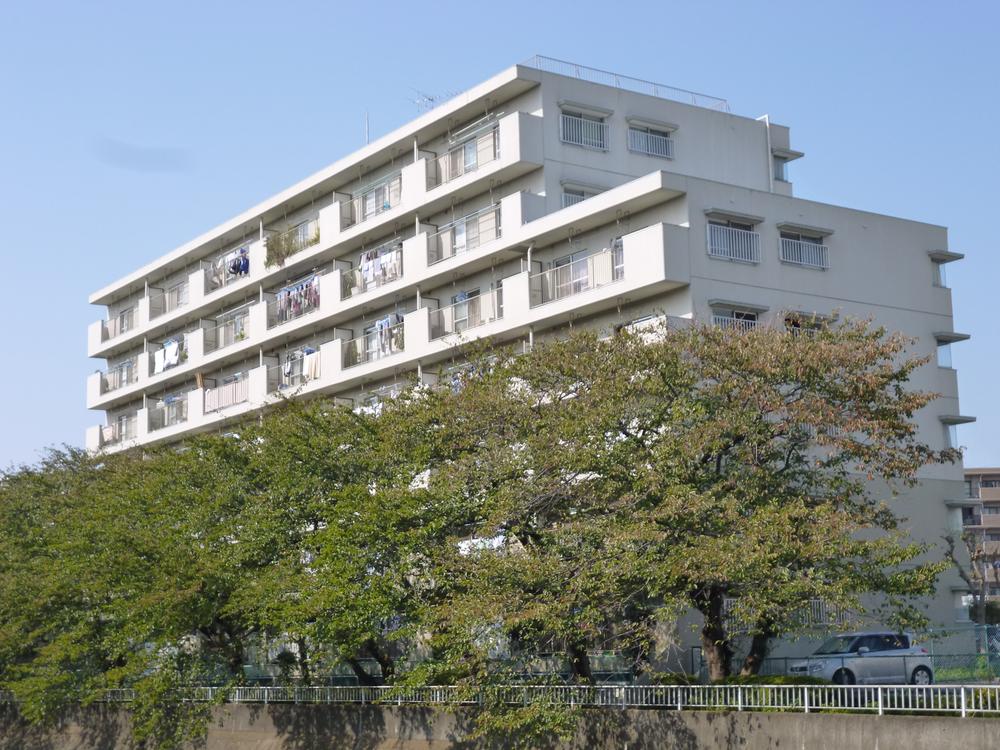 Local appearance photo. appearance