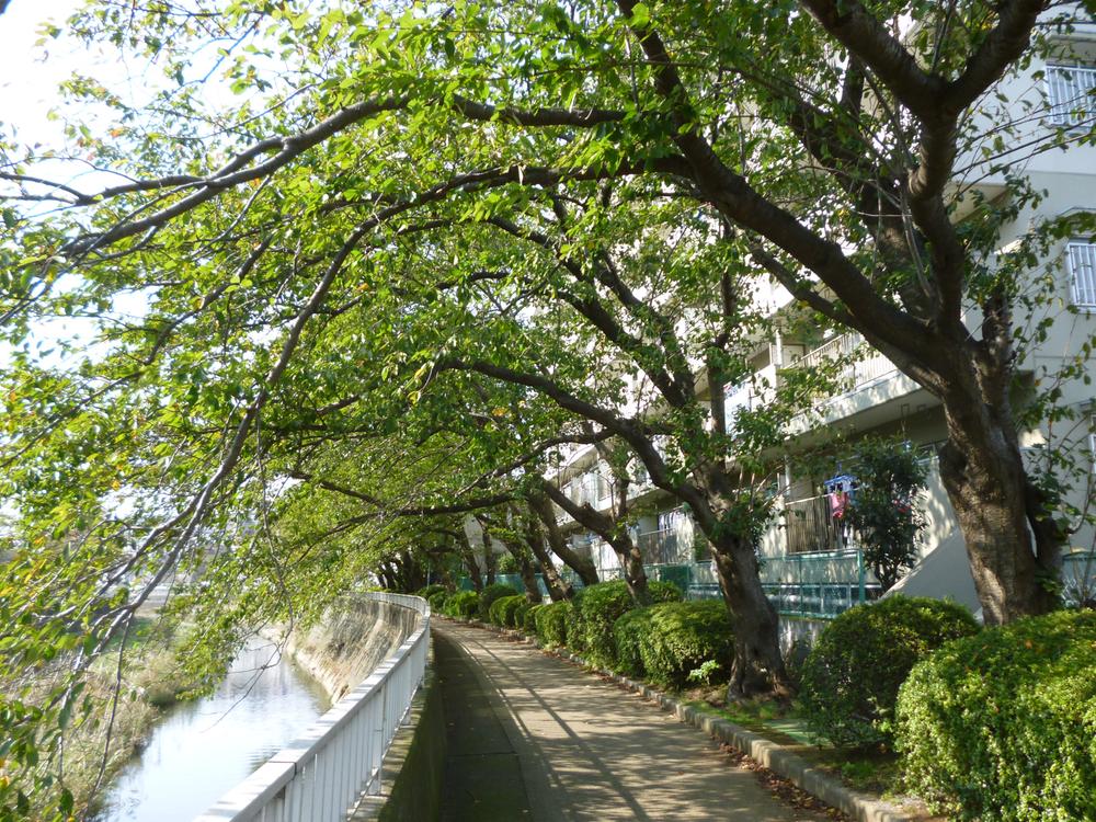 Other. River side