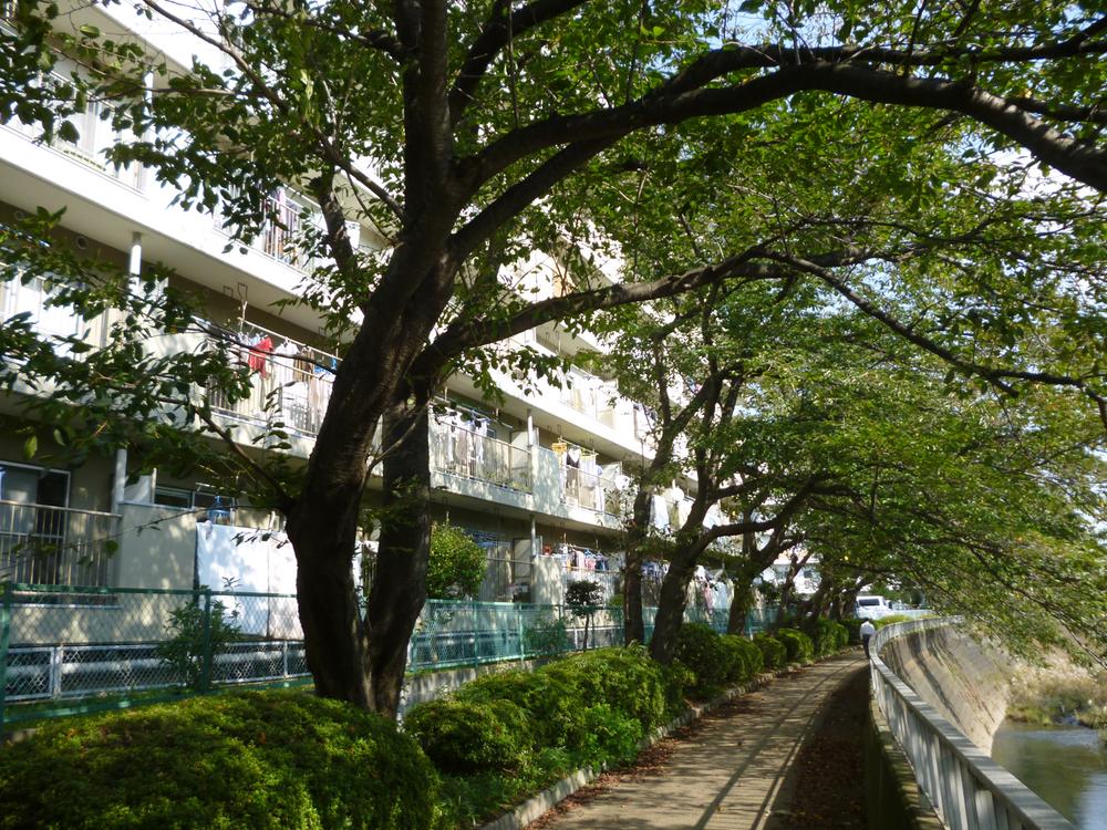 Other. River side