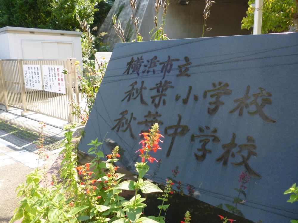 Other. Akiba Elementary School ・ Akiba junior high school