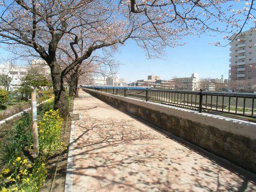 Other. Kashio river promenade