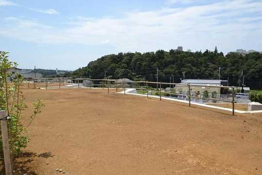 Local land photo. Local is