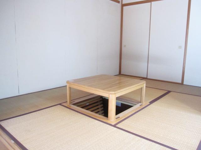 Non-living room. Japanese-style room (11 May 2013) Shooting
