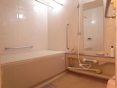 Bathroom. Indoor (12 May 2013) Shooting