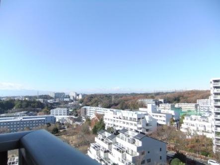 View photos from the dwelling unit. View from the site (December 2013) Shooting