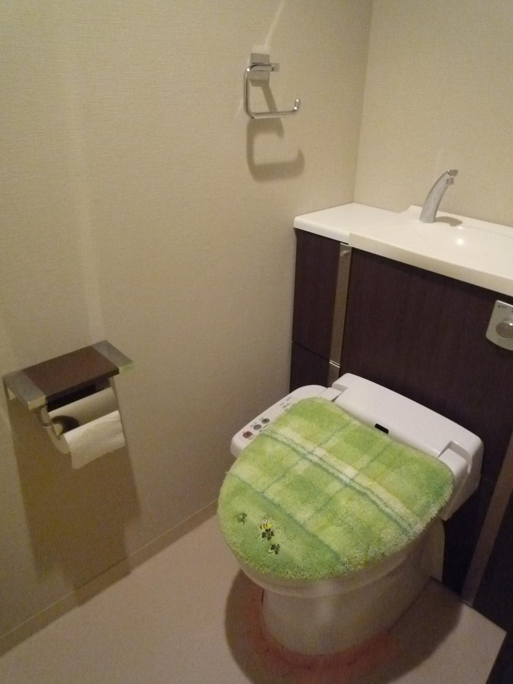 Toilet. Situation in the toilet (2013 October shooting)