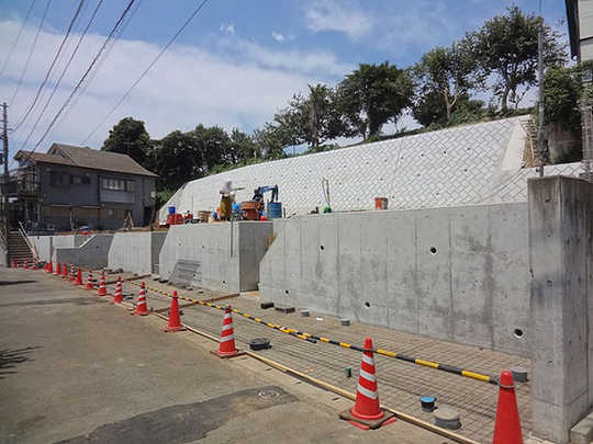 Local land photo. Local Photos (1)